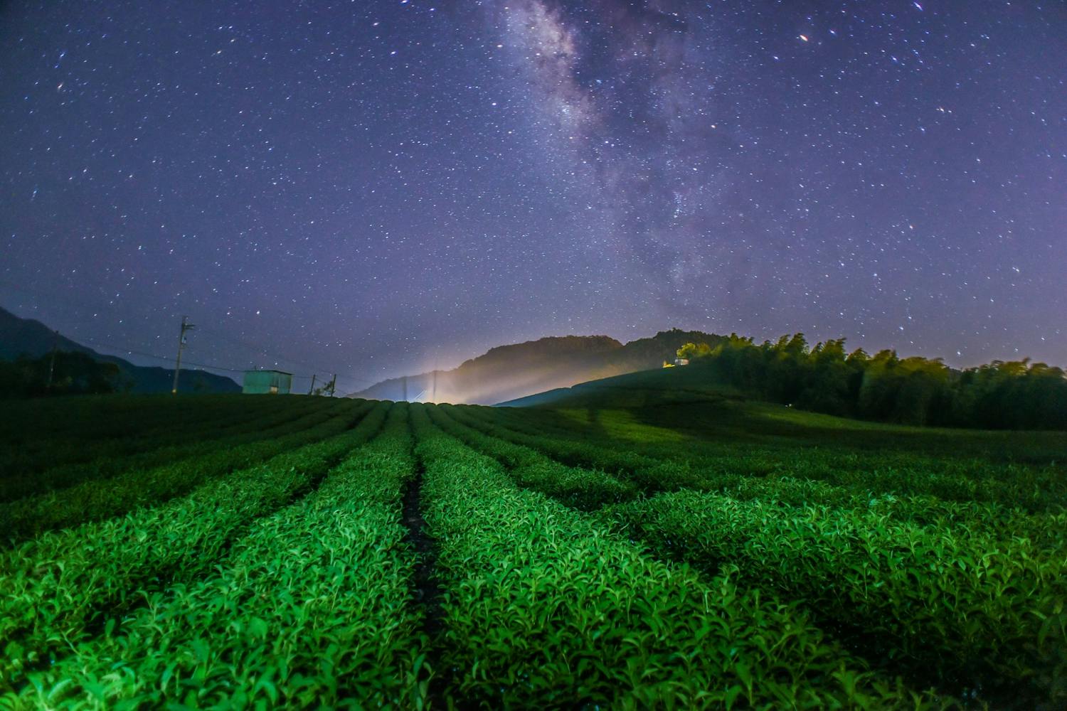Nattehimlen er altid flot, men nogle gange står den ekstra skarpt.